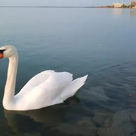 Daire Ilona Apartmanhaz
